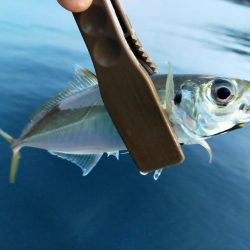 サイズは小型だけど