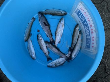 岸和田フィッシングパーク 祝日は