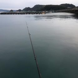 アジ53匹、ボラ60㎝1匹