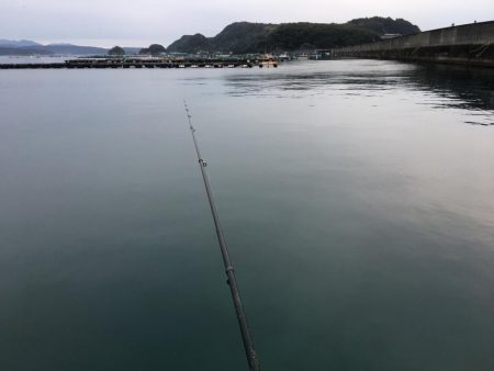 アジ53匹、ボラ60㎝1匹