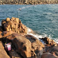 フカセ‥最高ですネ・・