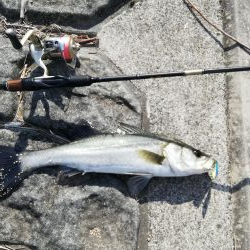 予定違いやけど結果オーライ