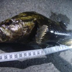 釣りデビュー 70日目