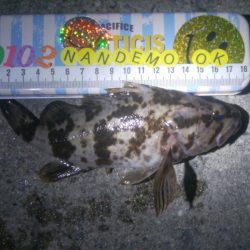 釣りデビュー　72日目