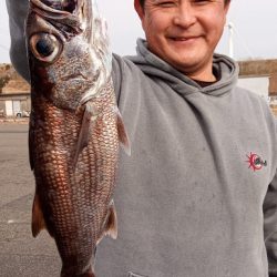 康仁丸・中深海・釣り果