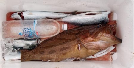 康仁丸・ジギング釣り果