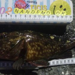 釣りデビュー　85日目