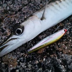 ロッド鱗付けの為にお出掛け