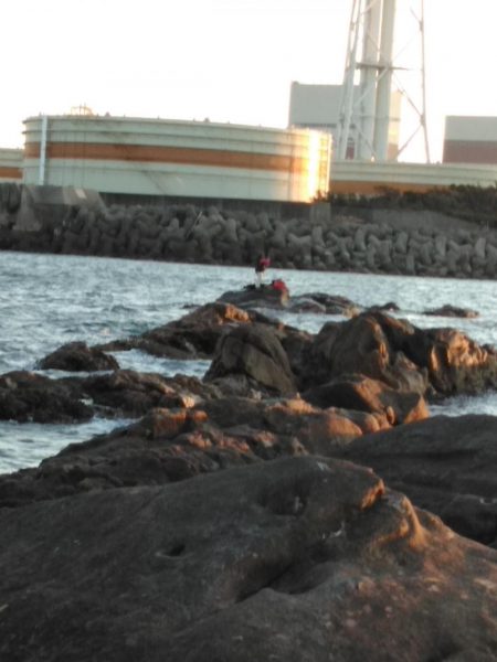 フカセ‥フグ釣れ過ぎ・・