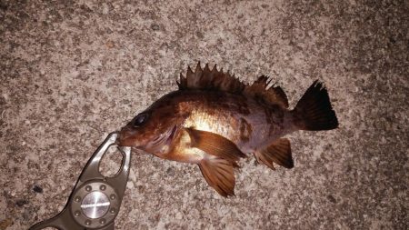 タフコンディション