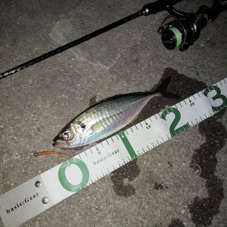 爆風の夜中アジング