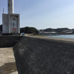 文里港でウォーキング　尺アジ1匹