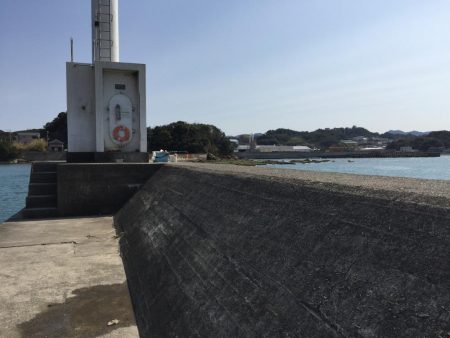 文里港でウォーキング　尺アジ1匹