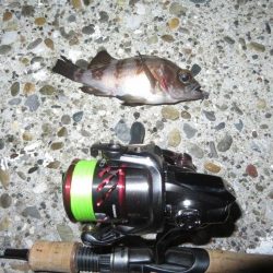 まだ早いのか!?