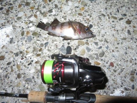 まだ早いのか!?