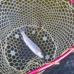 平日なのにスゴイ混雑！