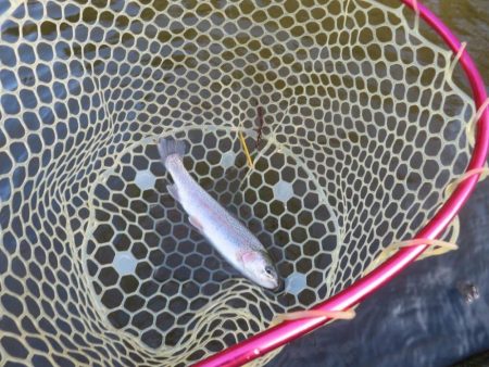 平日なのにスゴイ混雑！