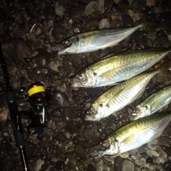 (尺アジ)フロートゲーム