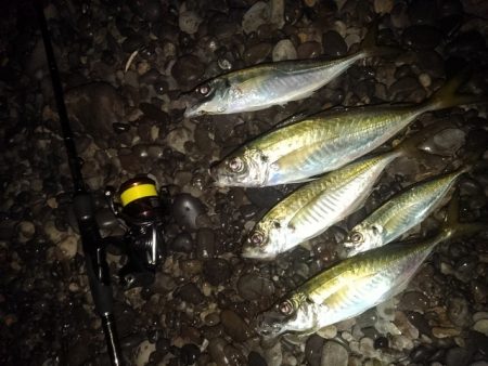 (尺アジ)フロートゲーム