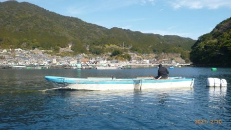 カセでグレを狙って