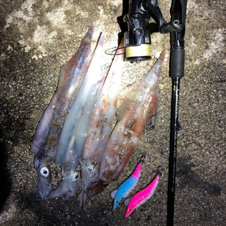 2021 佐渡ヶ島ヤリイカエギング