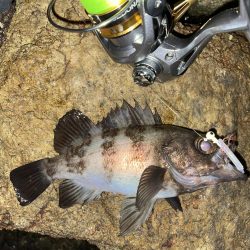 メバリング修行