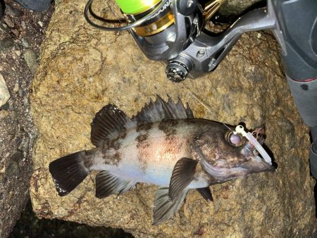 メバリング修行