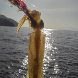 あ、花粉が？？