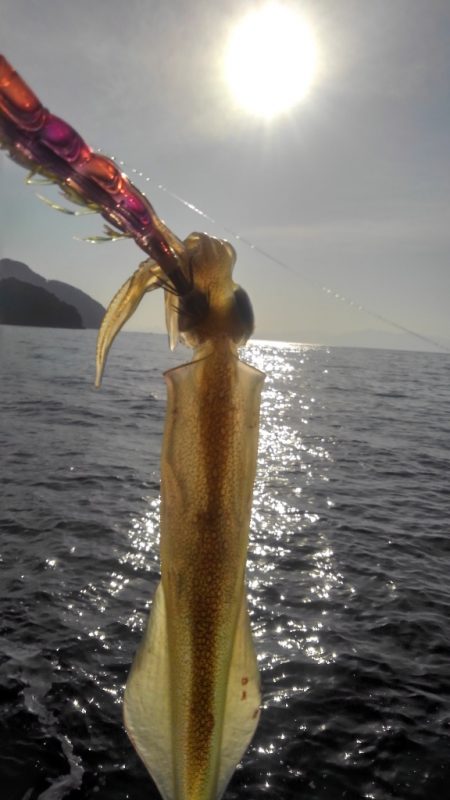 あ、花粉が？？