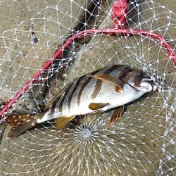 春の天気でした!