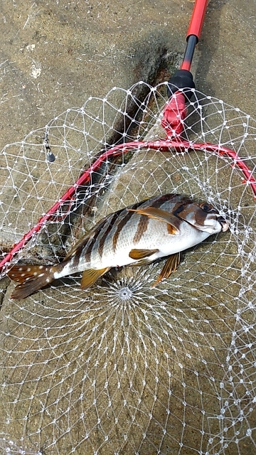 春の天気でした!