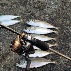 アジング)釣りで怖いのは人でした。