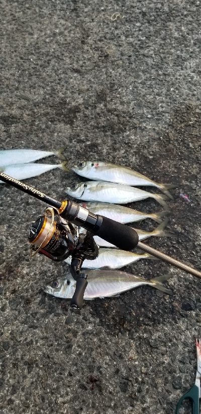 アジング)釣りで怖いのは人でした。