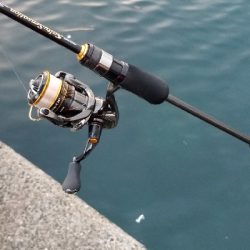 通勤前のアジング２