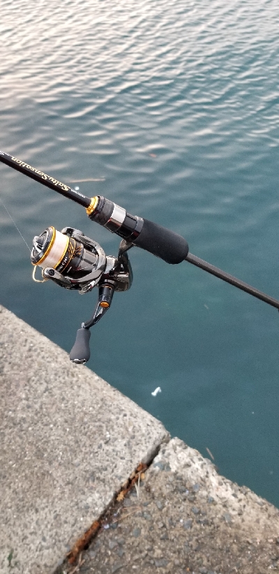 通勤前のアジング２