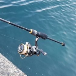 久しぶりにアジングです。