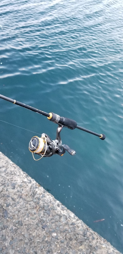 久しぶりにアジングです。