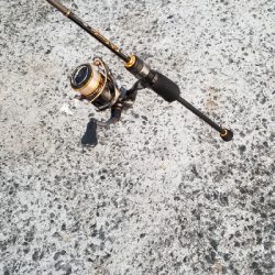 短時間アジング