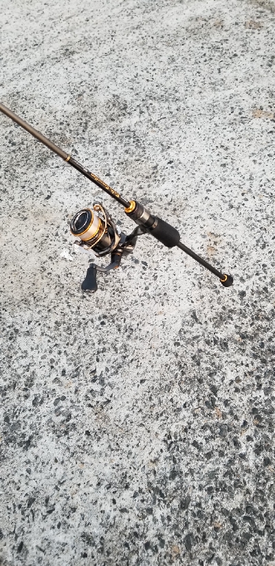 短時間アジング