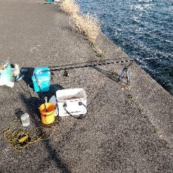 黒鯛の刺身おあずけ