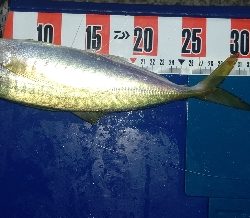 ライトゲーム三昧