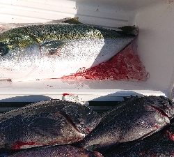 釣り堀すいほう