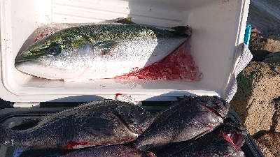 釣り堀すいほう