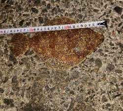 暖かい予報だったので・・・