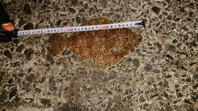 暖かい予報だったので・・・