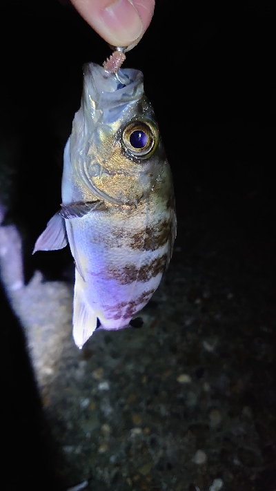 爆風スランプ！激アツ釣行！