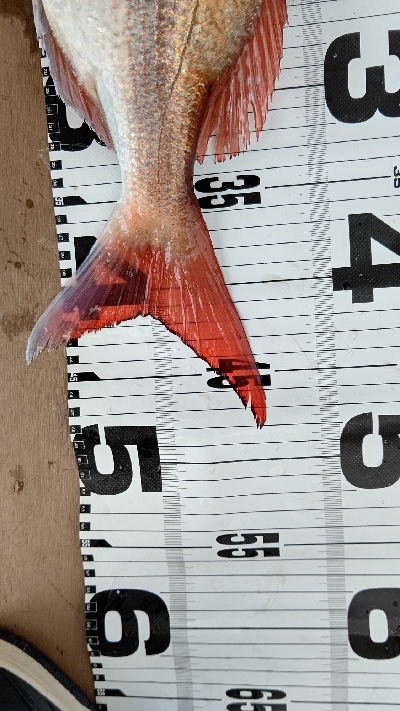 今年初釣果！！