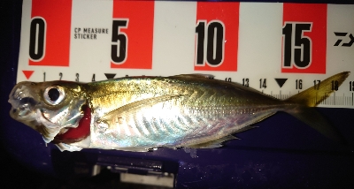 あー気持ちいいもー気持ちいい