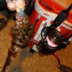 ライトゲームで三目