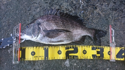 フッキングの練習